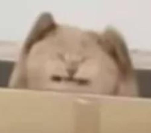 央视新闻客,户端直播雪,域冬季两项,江南,JN,江南体育官网,江南官网,江南体育下载