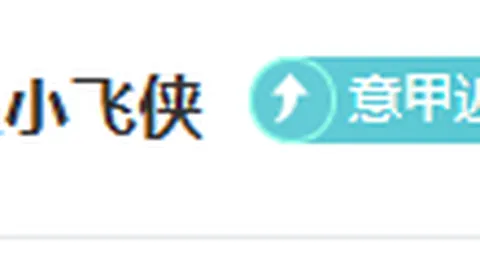 戴琳离世球迷遗愿未了，家人倾家荡产索回欠款29618元